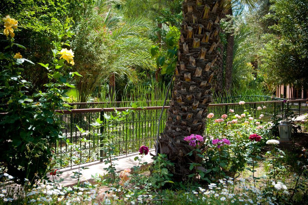 Dar Ayniwen Garden Hotel & Bird Zoo マラケシュ エクステリア 写真