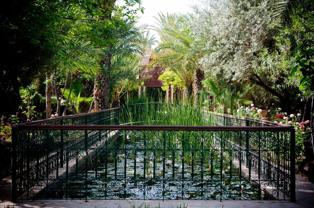 Dar Ayniwen Garden Hotel & Bird Zoo マラケシュ エクステリア 写真
